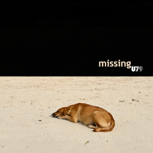 Missing